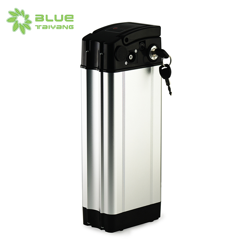 Customized 48V 20ah Electric Bicycle Recharge Battery Pack