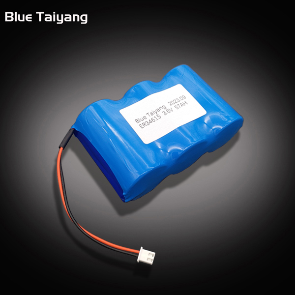 ER34615 3.6V 57000mAh li-socl2 batteries pack Professional Customization
